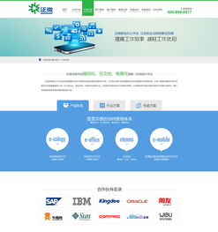 软件科技类企业营销型官网建设